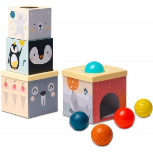 ЕДУКАТИВНА КОЦКА СО ТОПЧИЊА TAF TOYS